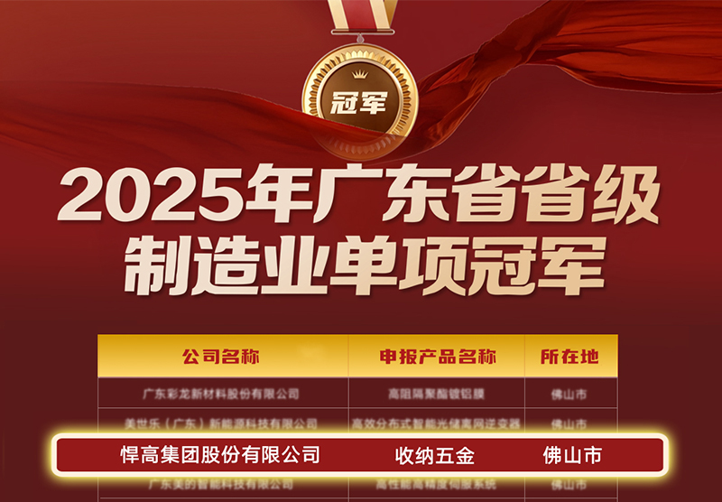 喜讯 | 熊猫体育荣膺广东省制造业单项冠军